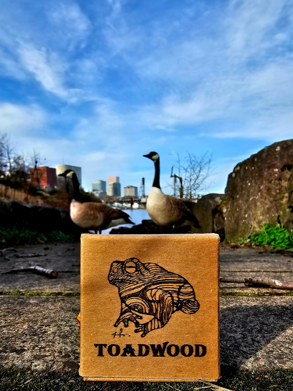 Do it yourself liquid cultures