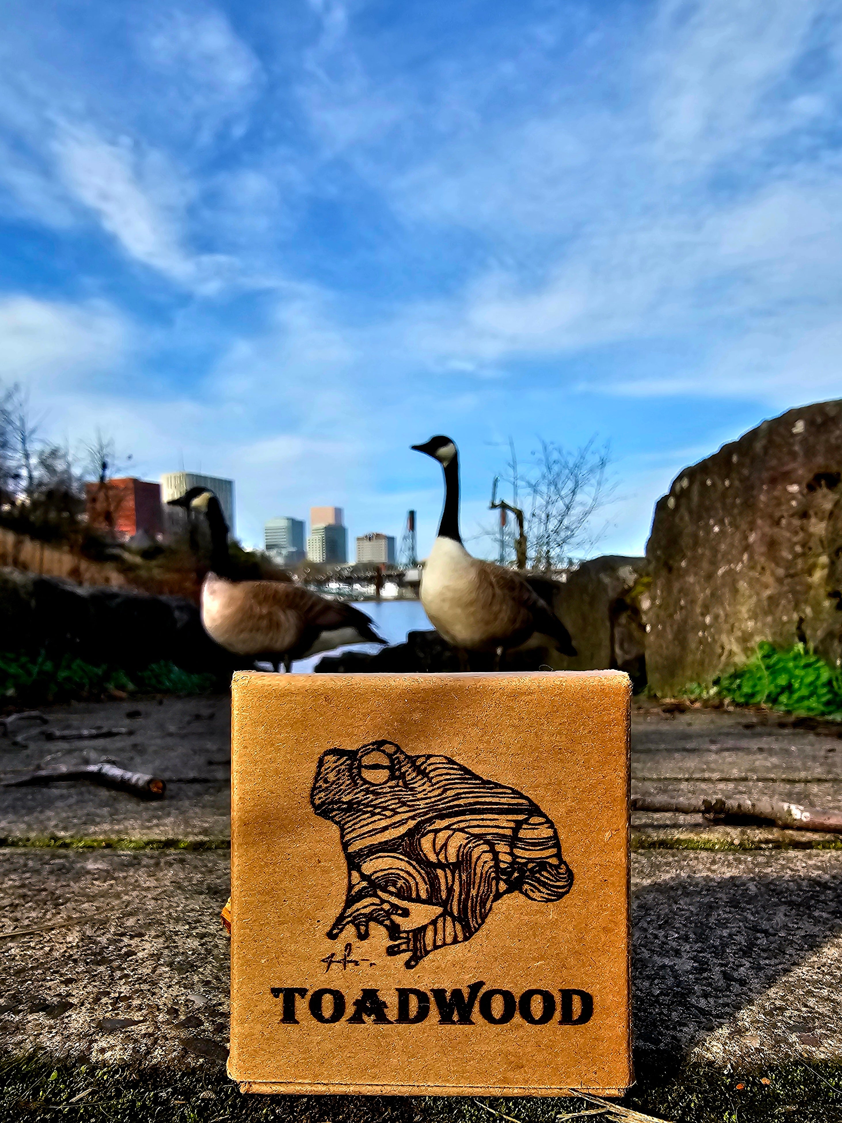 Do it yourself liquid cultures