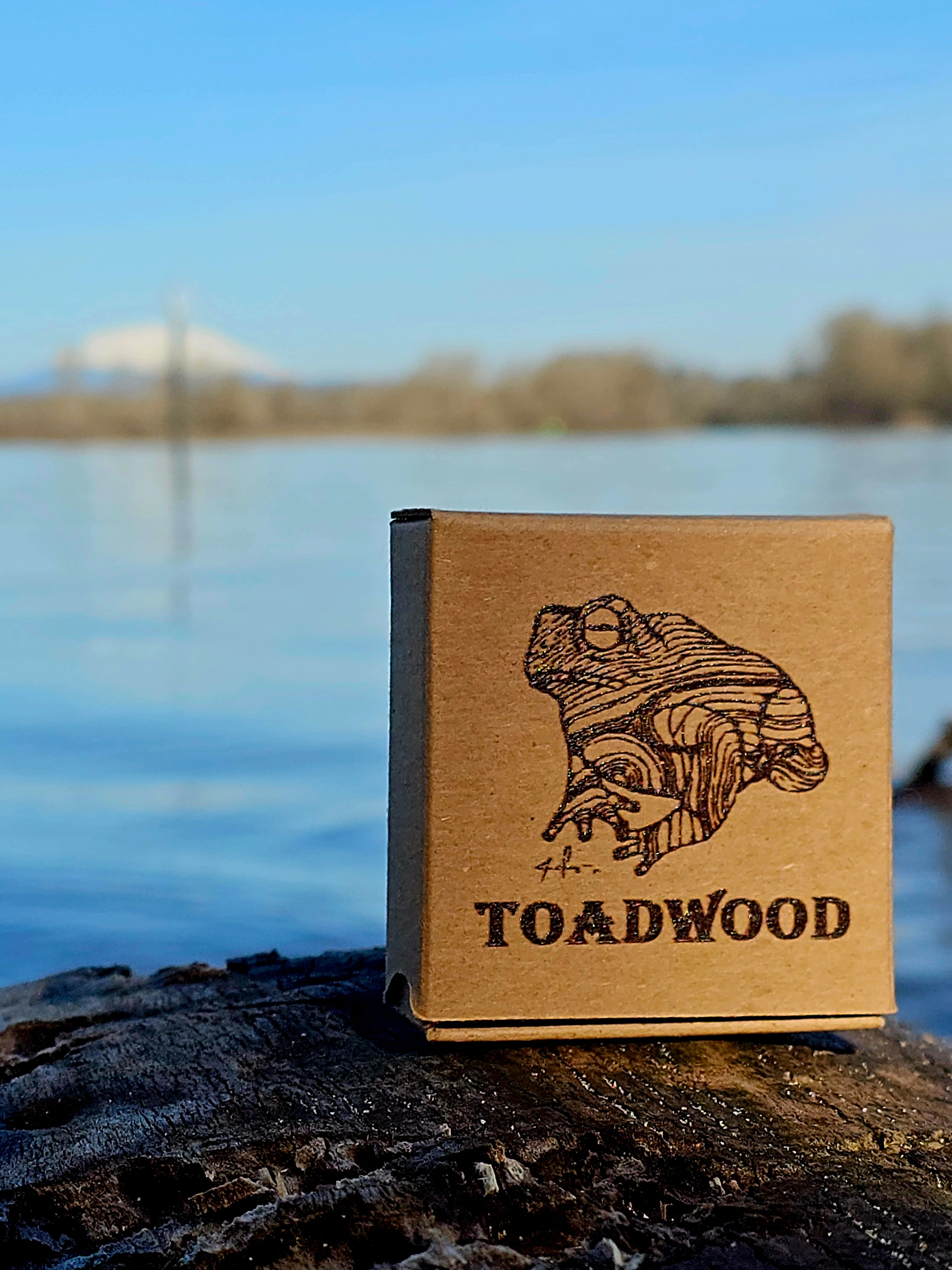 Do it yourself liquid cultures