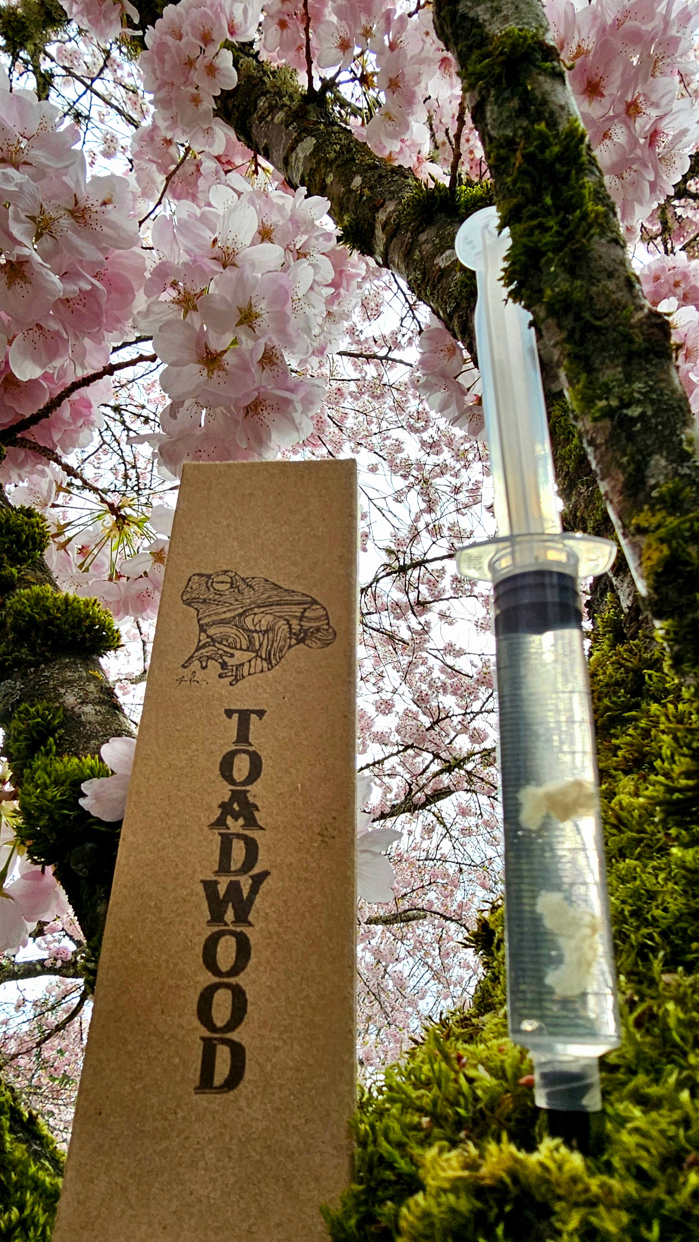 Do it yourself liquid cultures