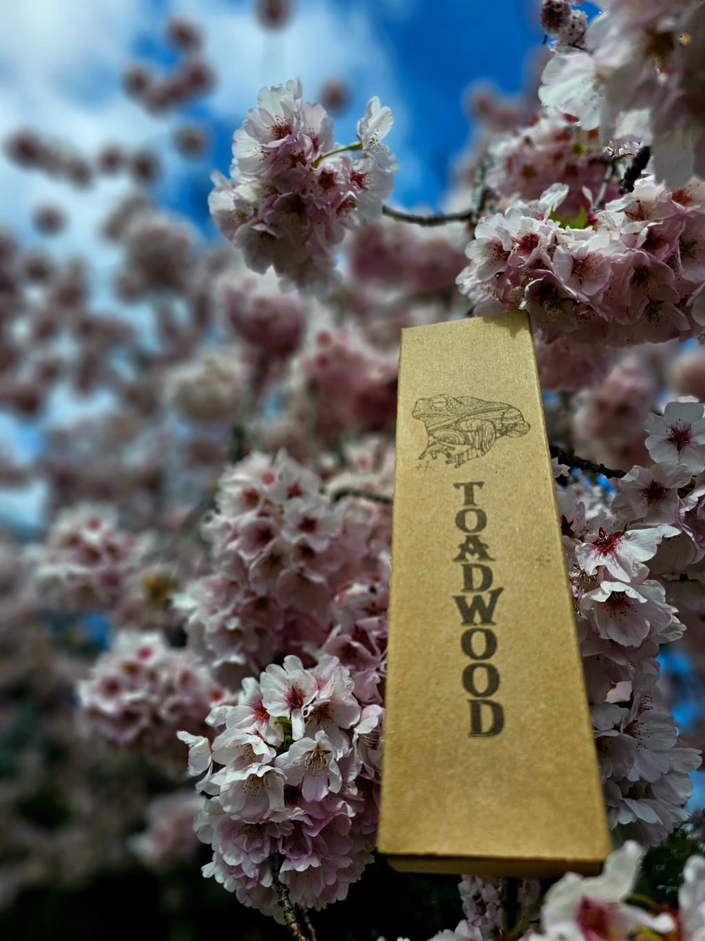 Do it yourself liquid cultures